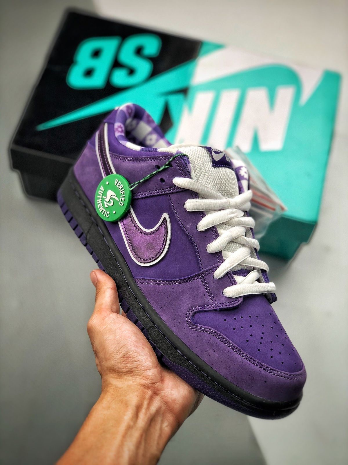 Premium Quality Purple Lobster SB