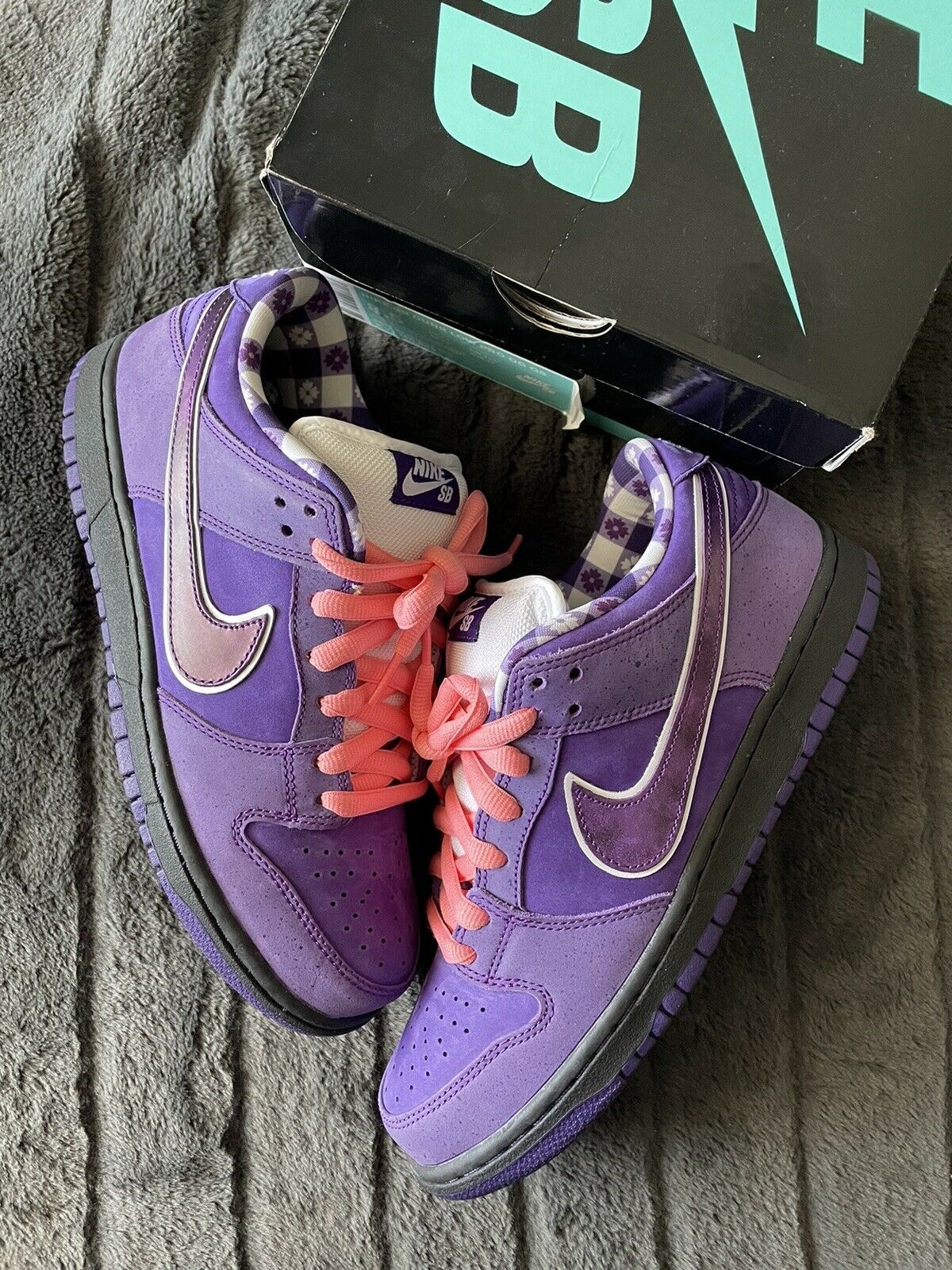 Premium Quality Purple Lobster SB
