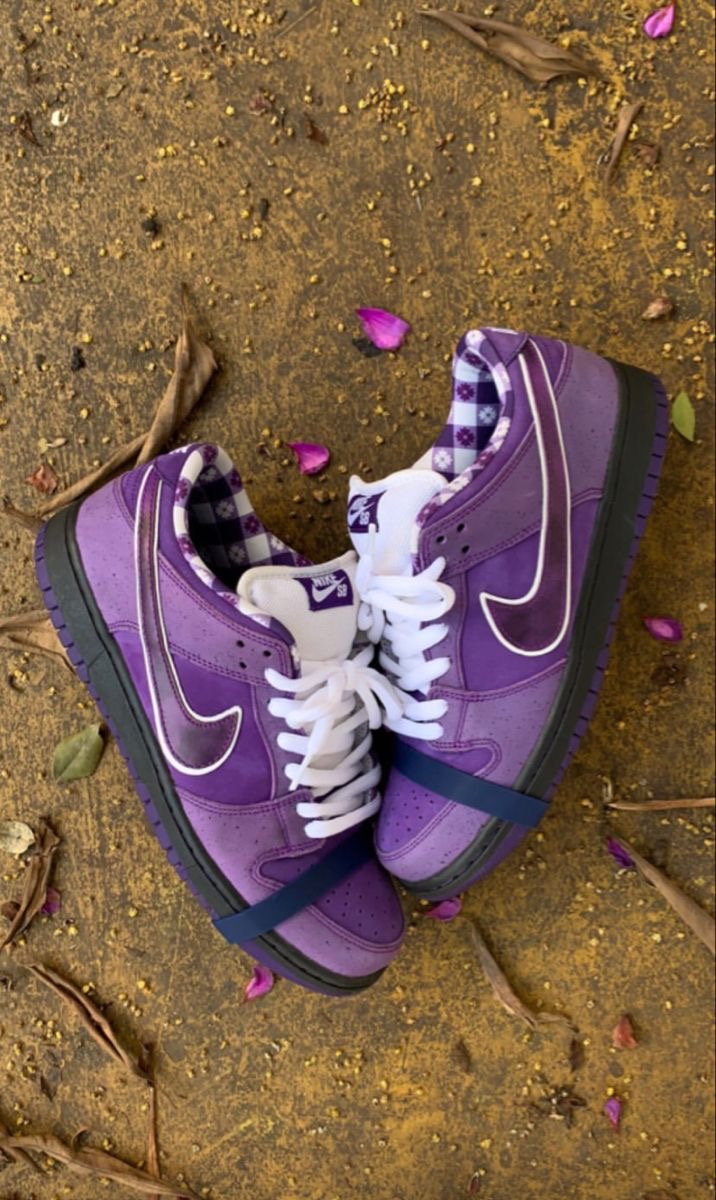 Premium Quality Purple Lobster SB