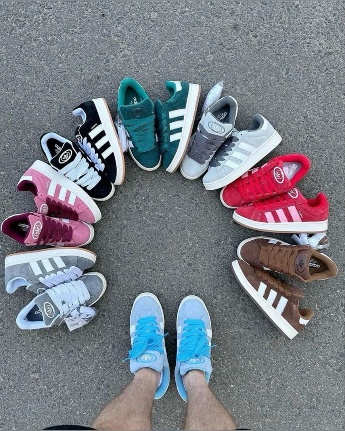 Premium Quality Adidas Campus b/w