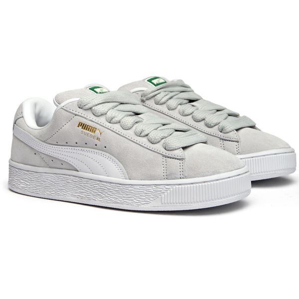 Ash Color Puma