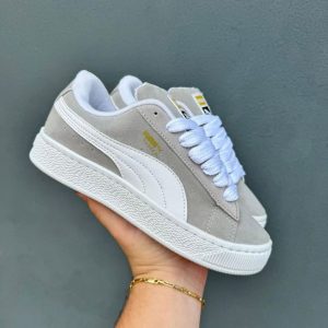 Ash Color Puma