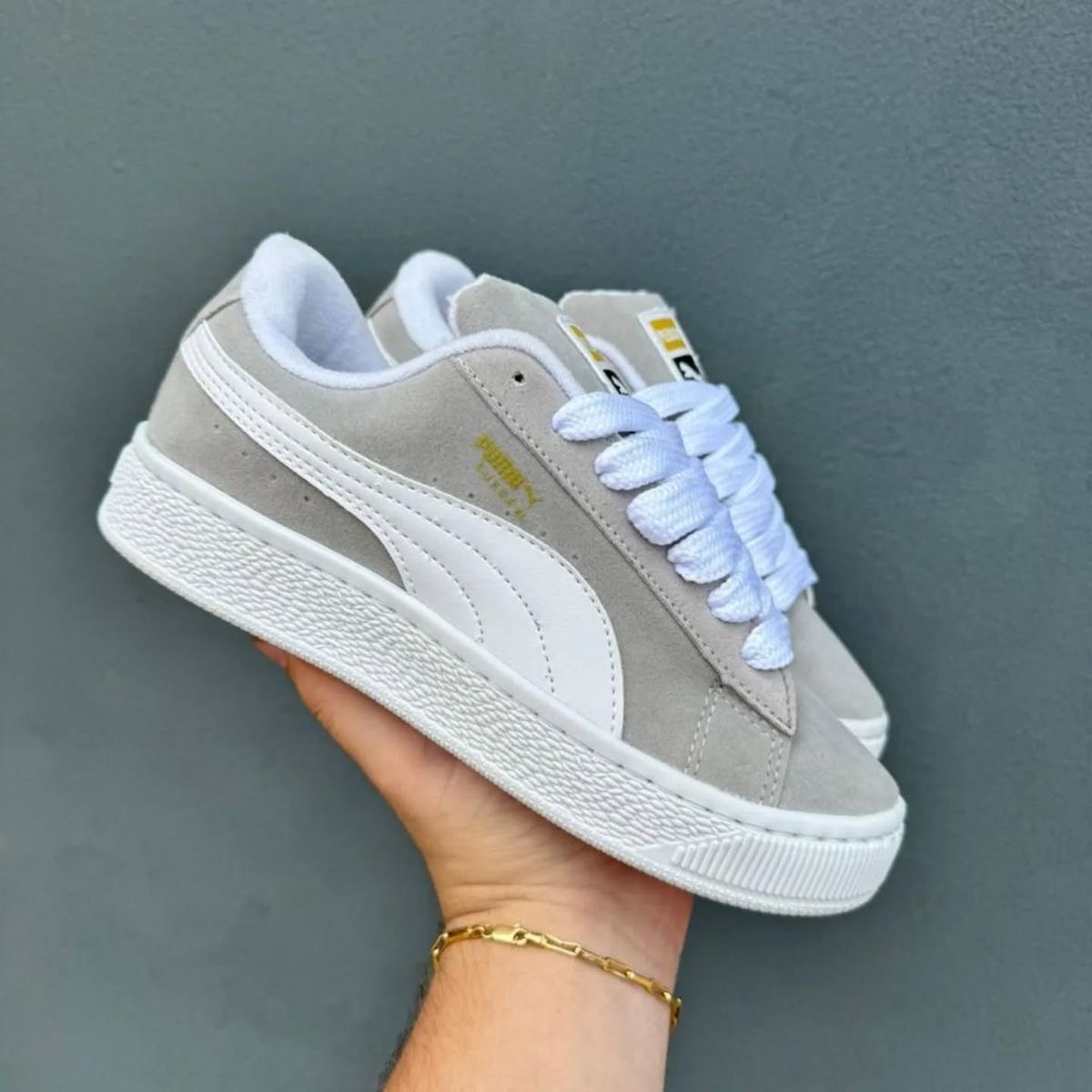 Ash Color Puma