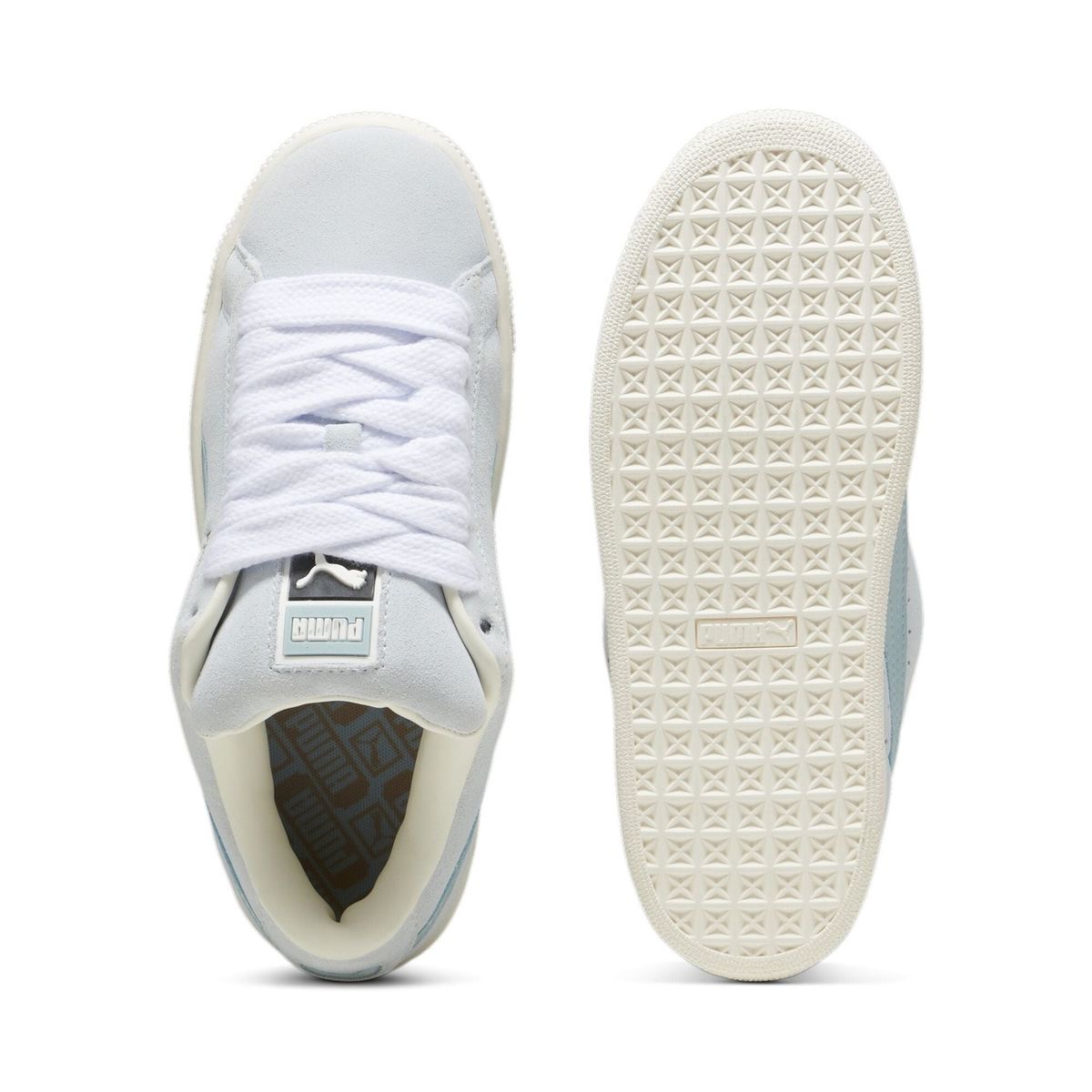 Ash Color Puma